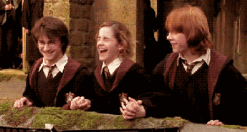 harry-ron-hermione-goblet-of-fire-2